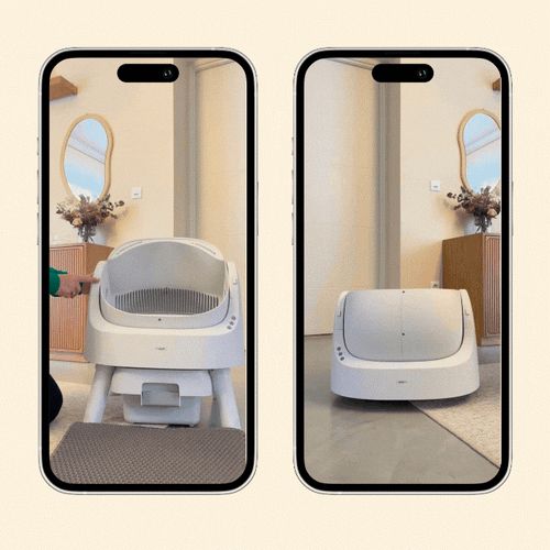 PetPivot Autoscooper  Open-Top Self-Cleaning Cat Litter Box，