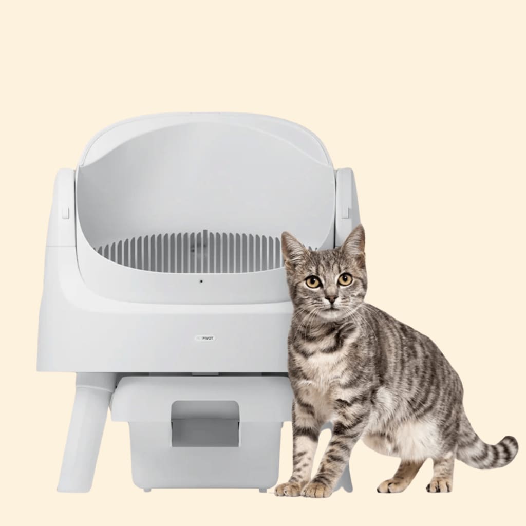 PetPivot Autoscooper  Open-Top Self-Cleaning Cat Litter Box，